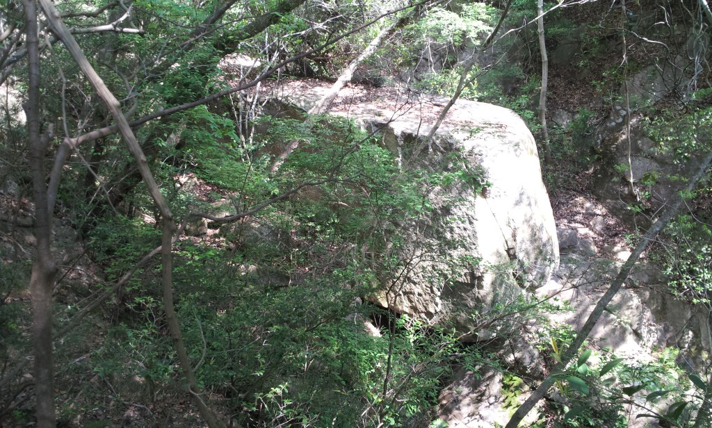道畦谷東尾根を目指して順調にルートを行きます。 これは上がま真っ平なので航空母艦岩と呼ばれています。 けっこう大きな岩でした。