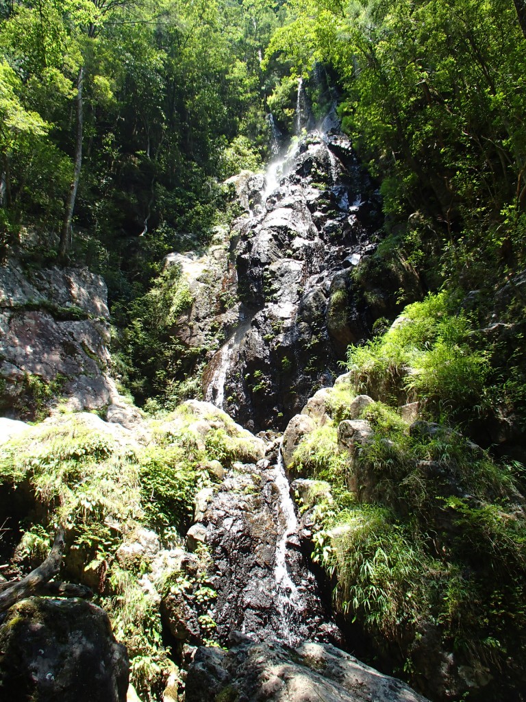 名前のないシシ淵の小滝
