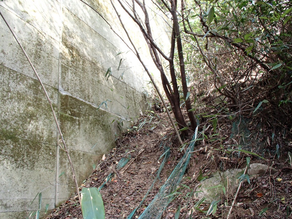 この堰堤は左手が崖だったと記憶してますので右手からしか登れません。しかし堰堤の上に上がる最後の１段が 1.5m ほどの段差があり強引に行かないと登れません。