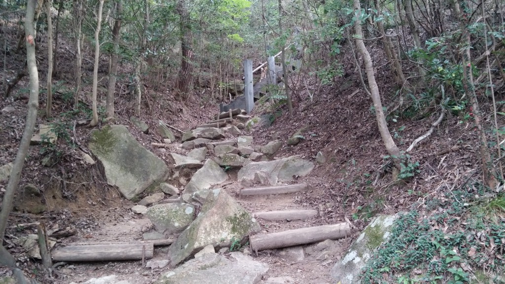 菊水山縦走路（最後の階段が始まるところ）のこの場所からガンチャン新道への水平道が伸びている、左手をよく見ると踏み跡がしっかりとある。