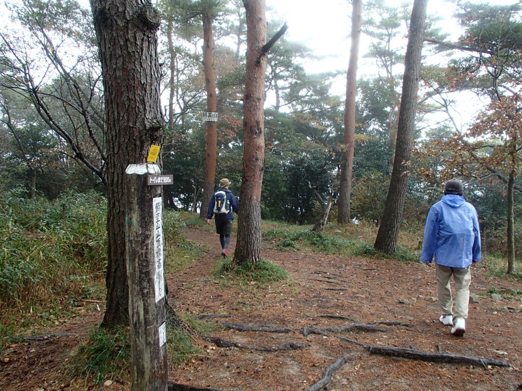 ここからは縦走路で一番楽しいトレイル。歩いていて楽しい！しかも次の目印が大竜寺でトン汁＆自販機ありの、おもてなしポイントなので気分よく歩けます。でもそのあと、摩耶山が控えているのでとばし過ぎにならないように自重しながら歩くのです。