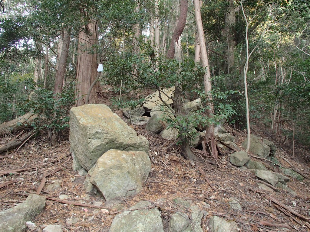 ここだけ中くらいの岩がゴロゴロ。ここを乗越えたら摩耶の大杉さんの枯枝がチラチラ見え出します。