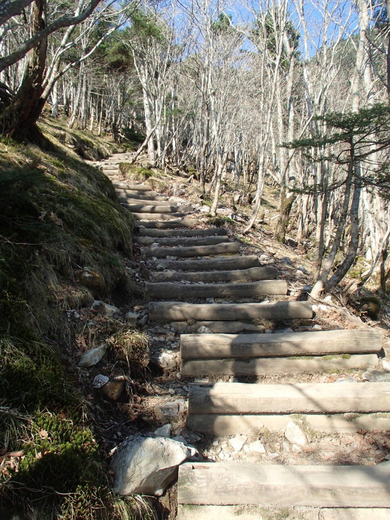 弥山小屋の最後の登り、木の階段 登りはツライのですが、下りは一転、階段の段差が小さいのでポンポンと膝に優しくテンポよく歩くことができました。